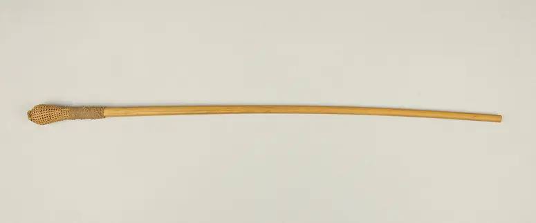 Saugrohr