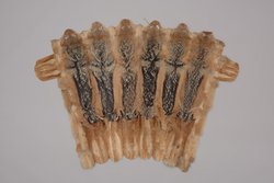 Schakalfellumhang