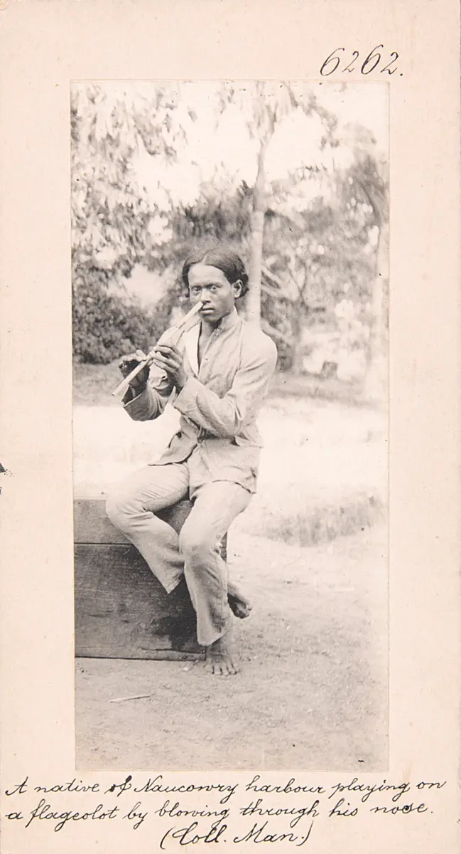 A native of Naucowry harbour playing on a flageolot by blowing through his nose