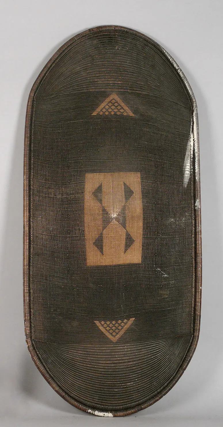 Shield
