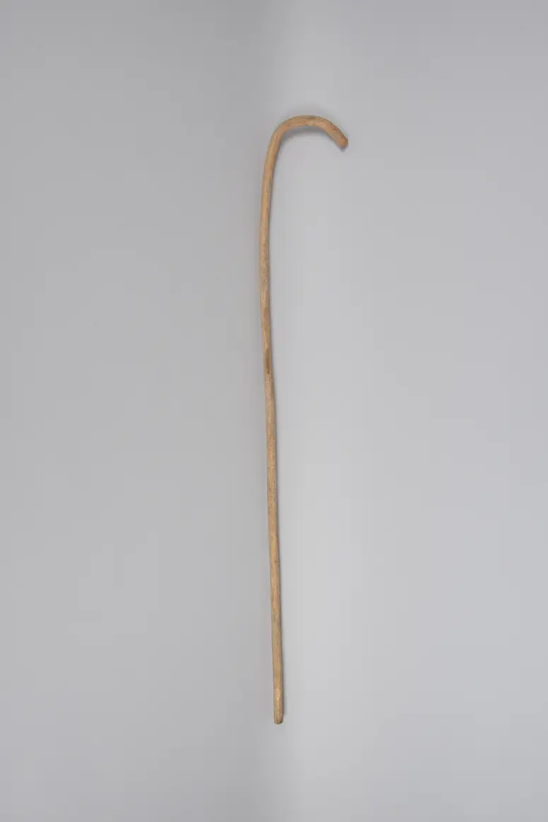 Spazierstock