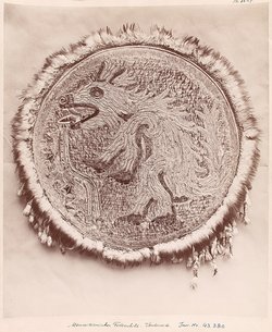 Federschild mit Kojote