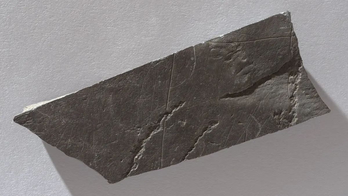Felsgravierung: Rappenantilope, Fragment