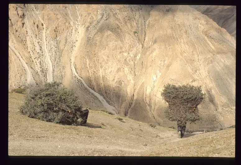 Transport