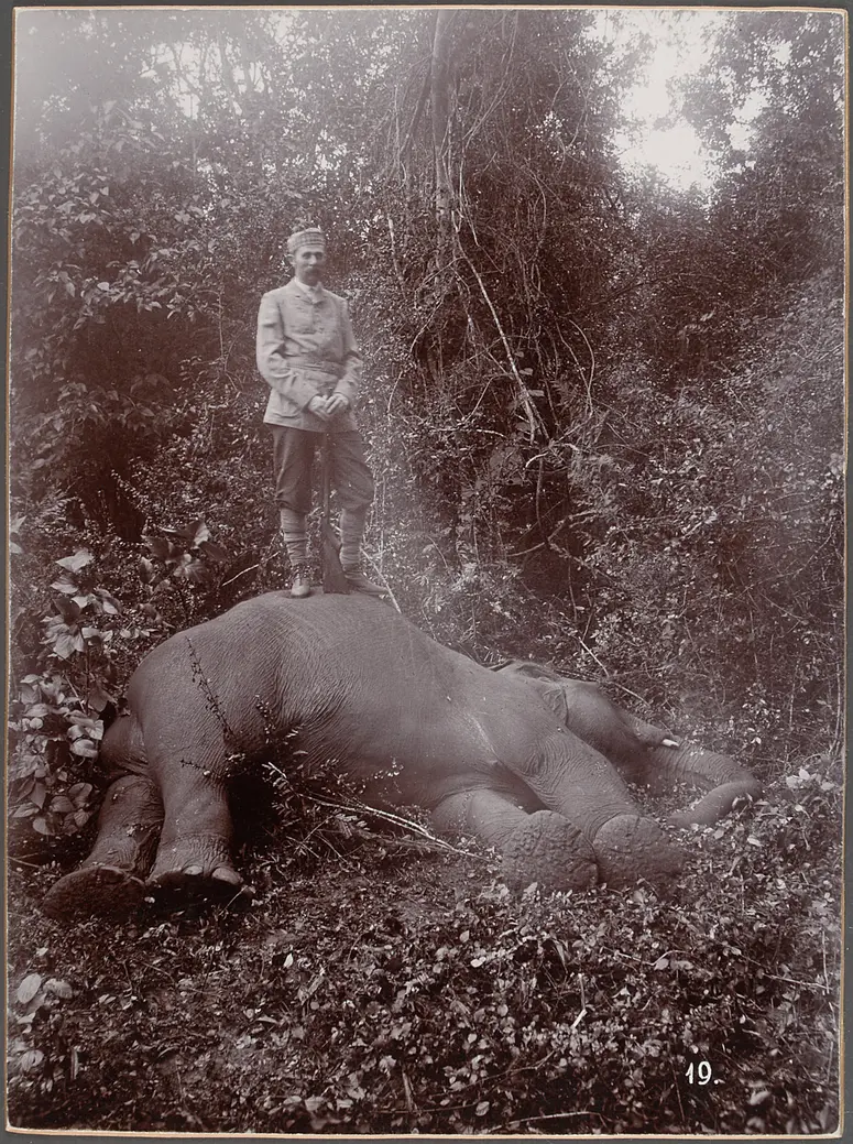 Sr k.u.k. Hoheit beim erlegten Elephanten