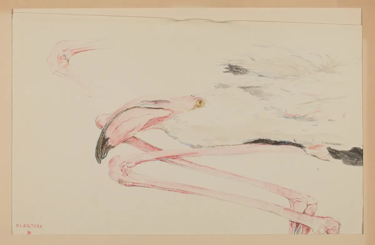 Aquarell Rosa Flamingos