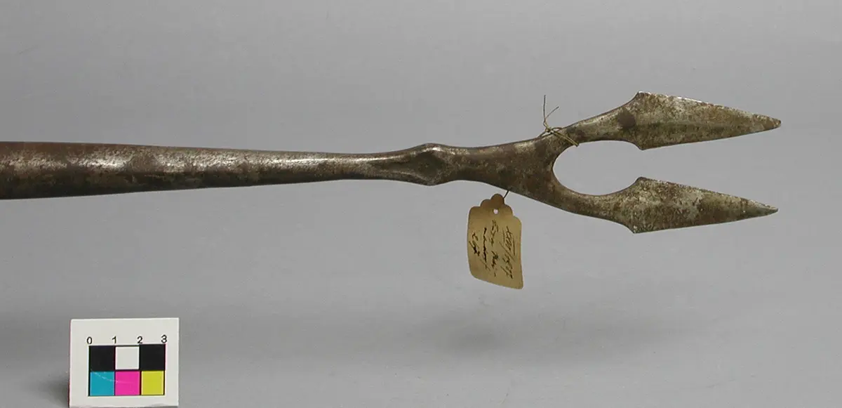 Frauenspazierstock