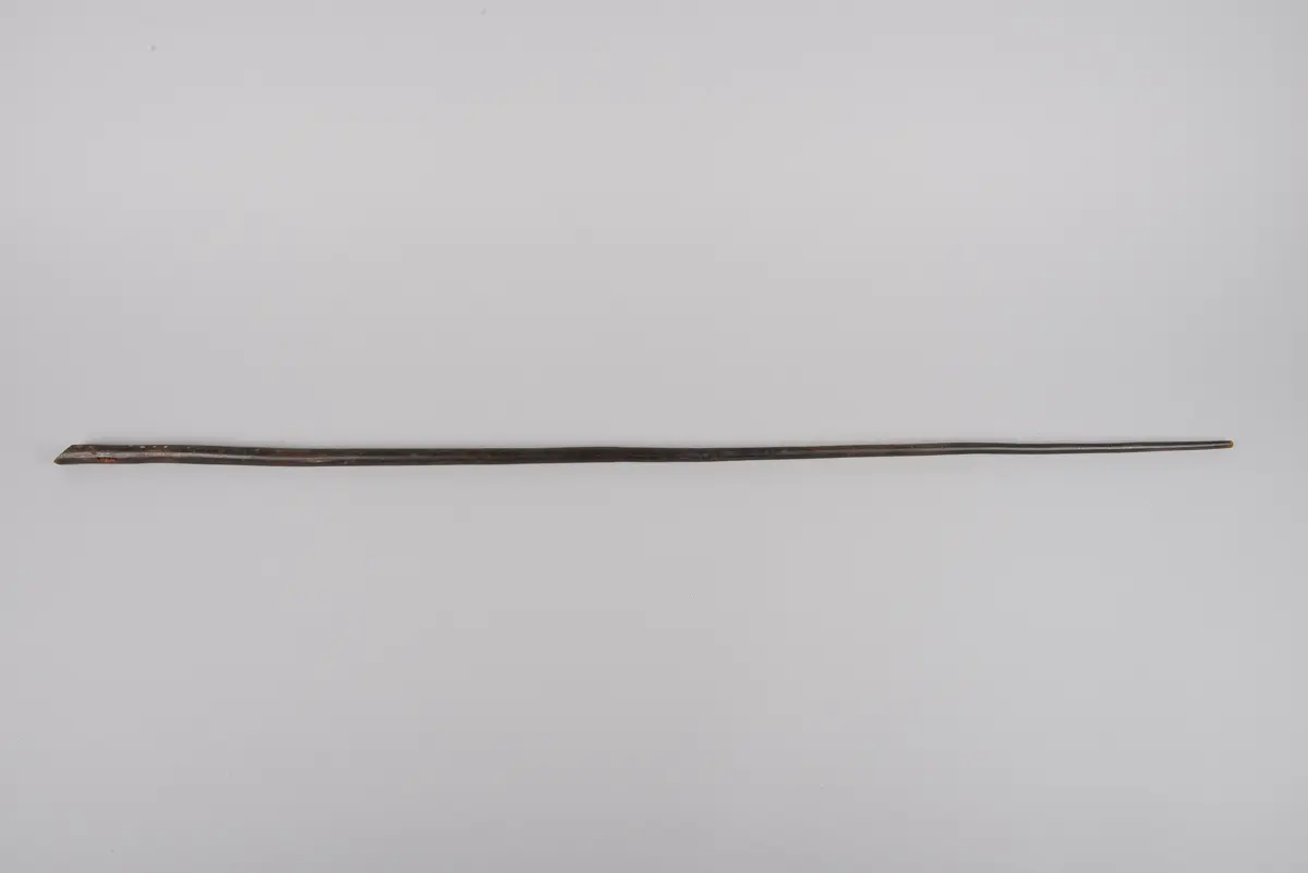 Pfeifenrohr