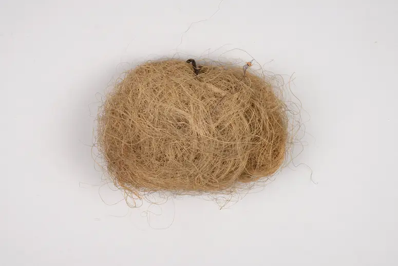 Dattelpalmfaser