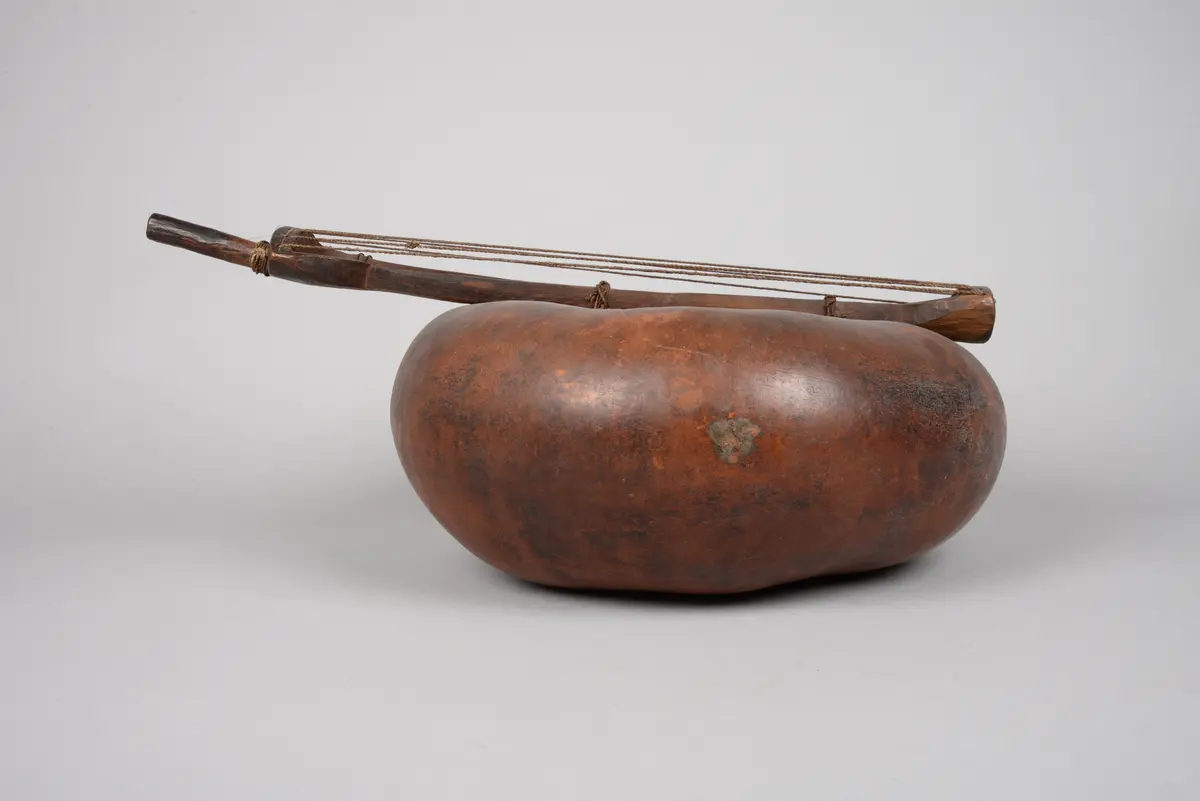 Saiteninstrument