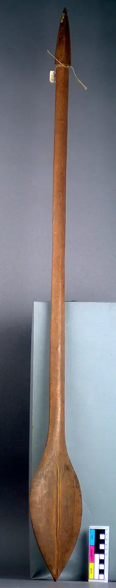 Ruderkeule