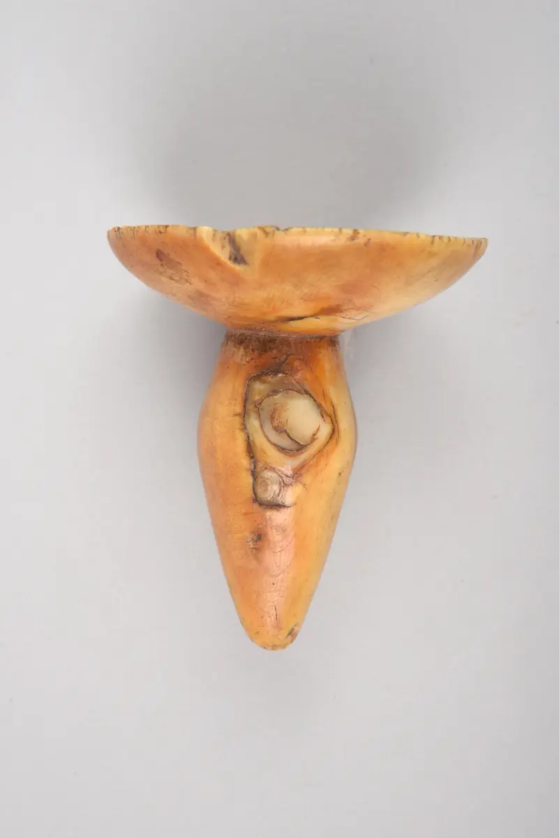 Ohrschmuck