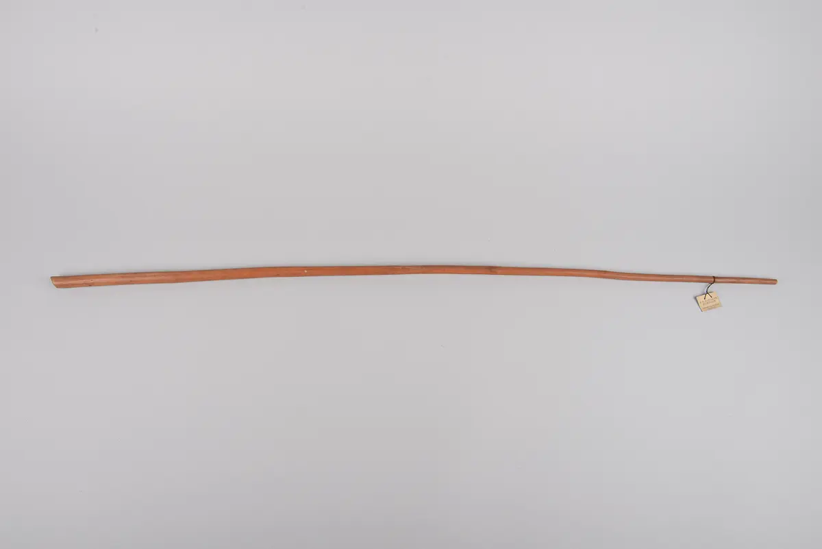 Pfeifenrohr