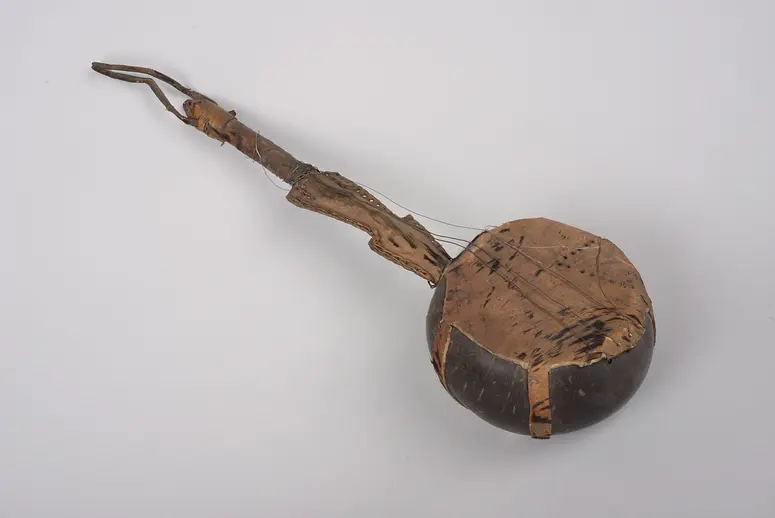 Saiteninstrument