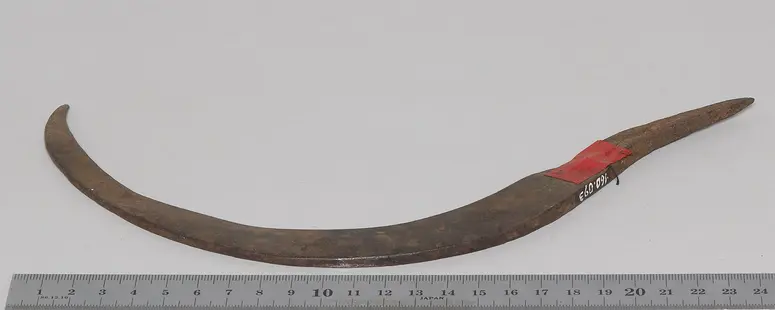 Sichelklinge