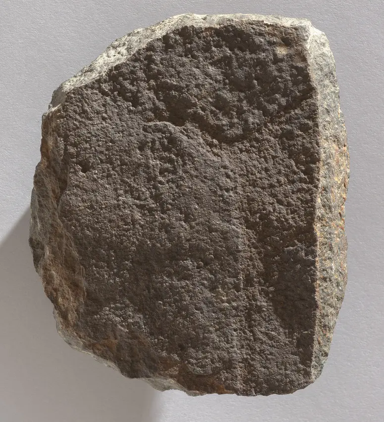 Stone Engraving: Duiker, Fragment