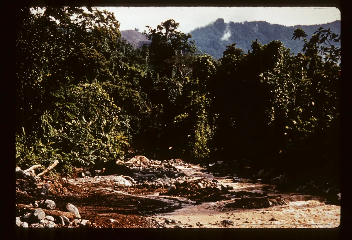 Farbdia: Kodachrome Duplikat