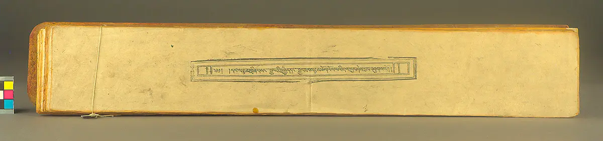 Text