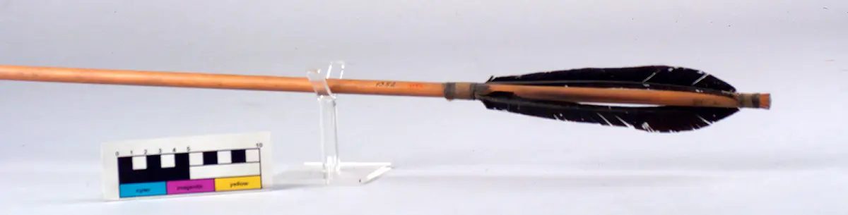 Hunting arrow
