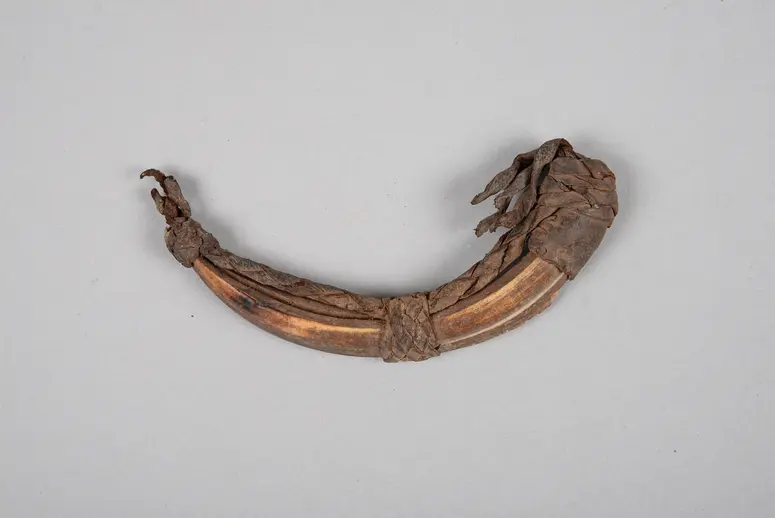Eberzahn (Amulett)