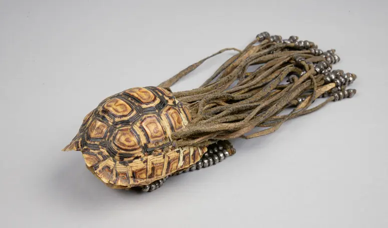 Schildkrötenpanzerbehälter