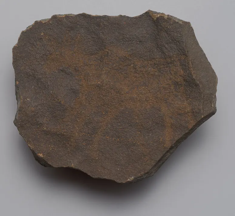 Felsgravierung: Elenantilope, Fragment