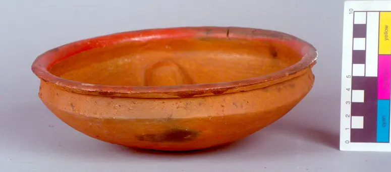 Bowl