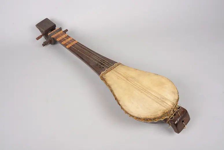 Instrument: Langhalslaute