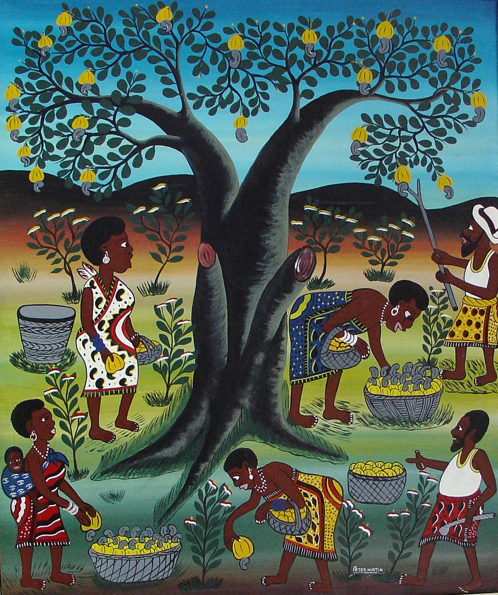 Frauen beim Ernten von Cashew