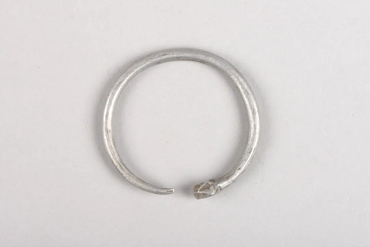 Nasenring