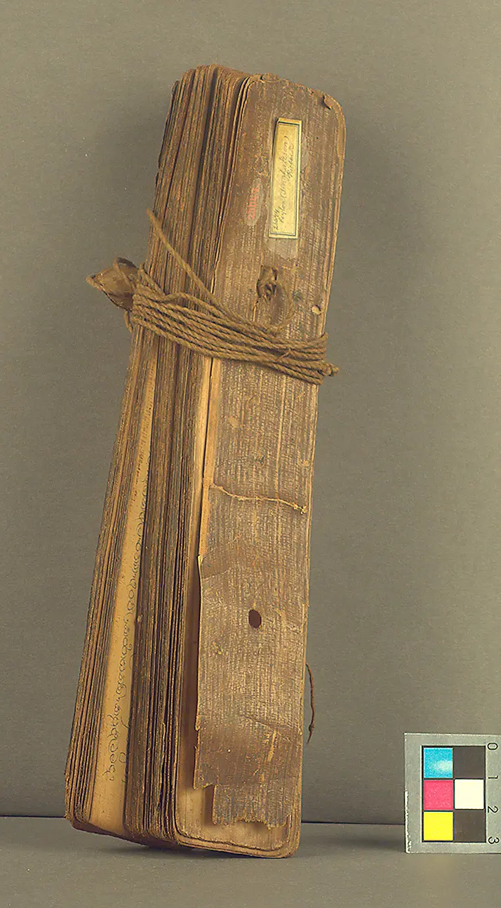 Manuscript