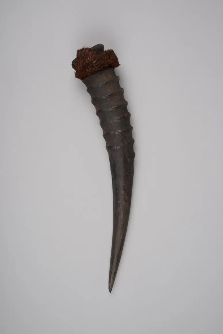 Horn (Medikament) 