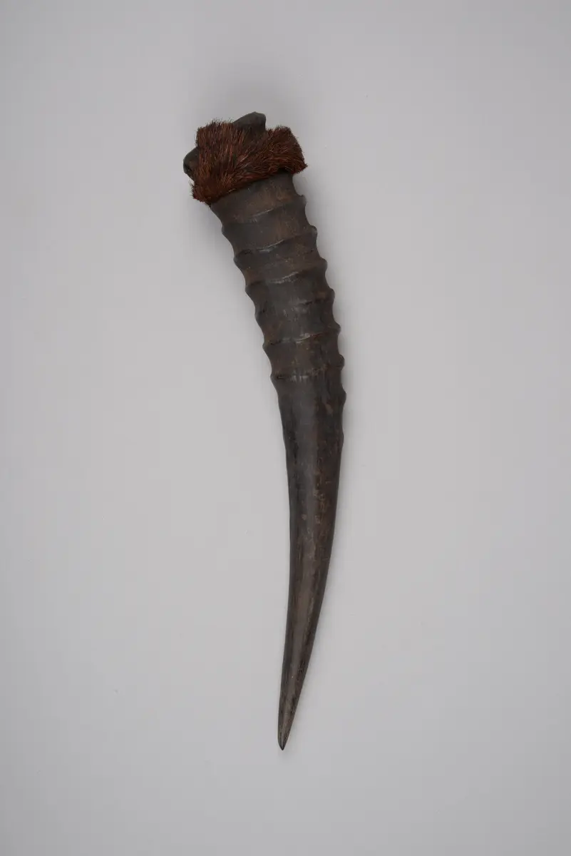 Horn (Medikament)