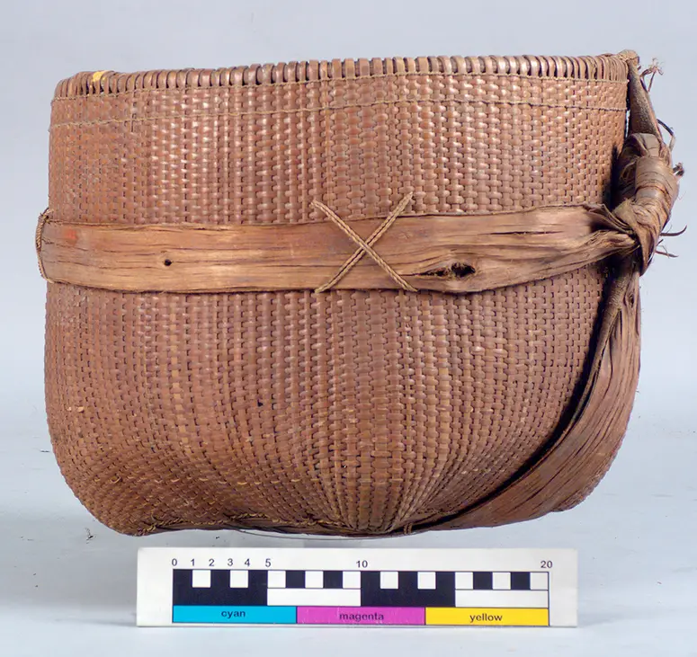 Carrying basket