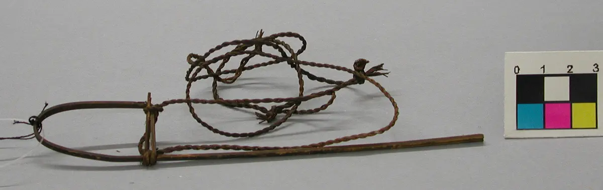 Vogelschlinge