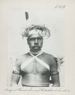 Aboriginal Warrior, Prince of Wales Island, Queensland