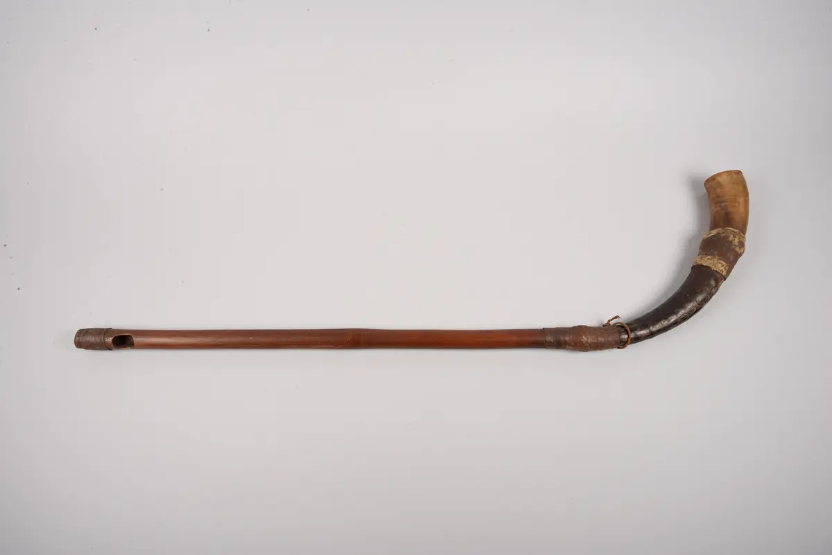 Horn