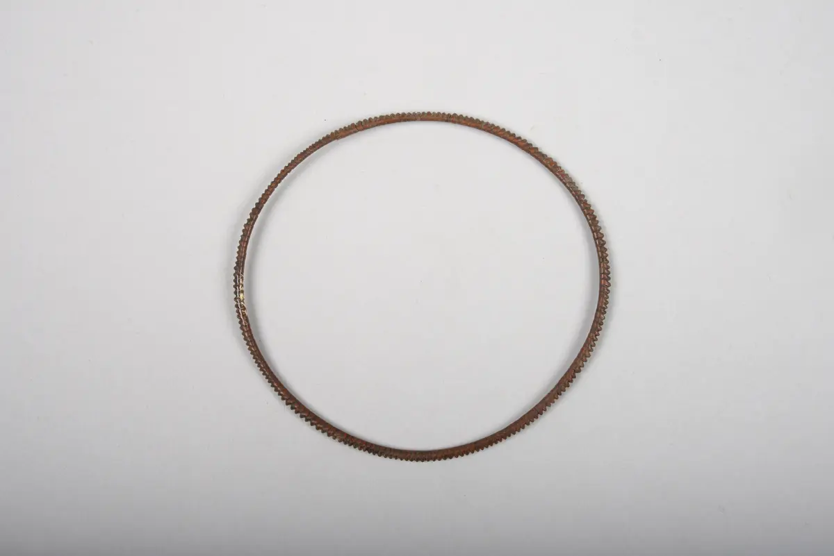 Bracelet or Ankle Bracelet