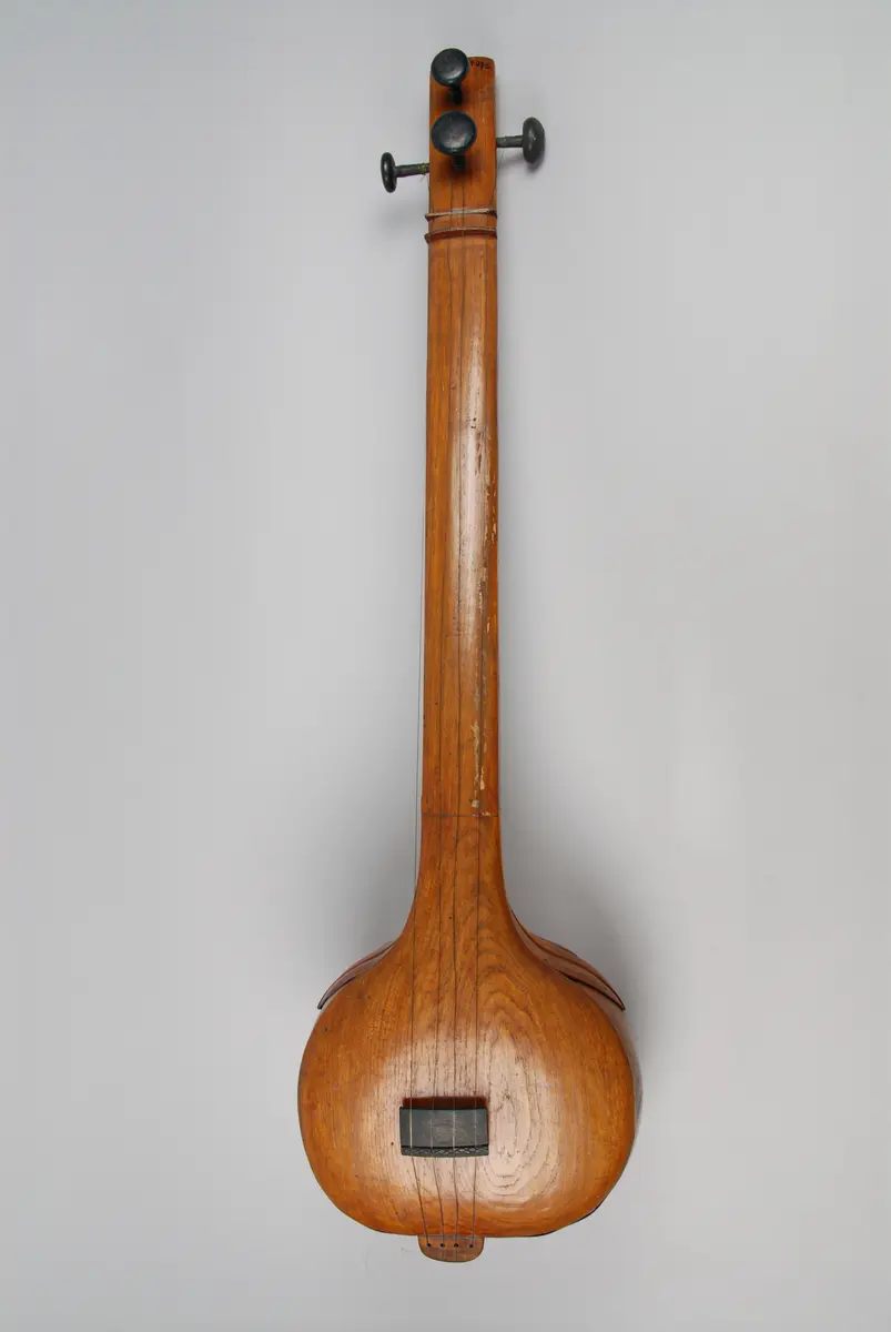 Musikinstrument Tumburu Vina