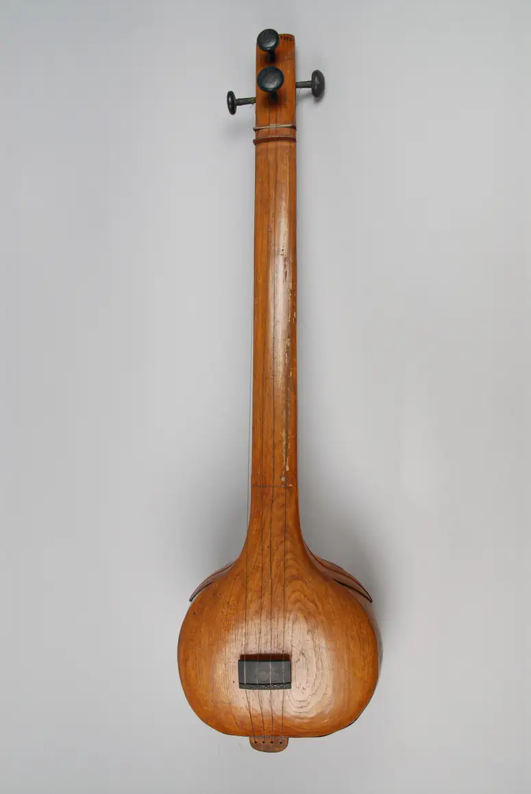 Musikinstrument Tumburu Vina