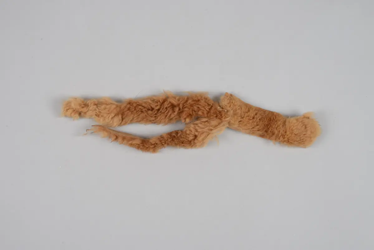 Vicuña hair