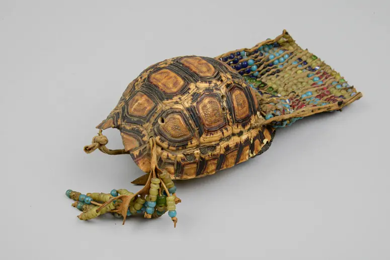 Schildkrötenpanzerbehälter