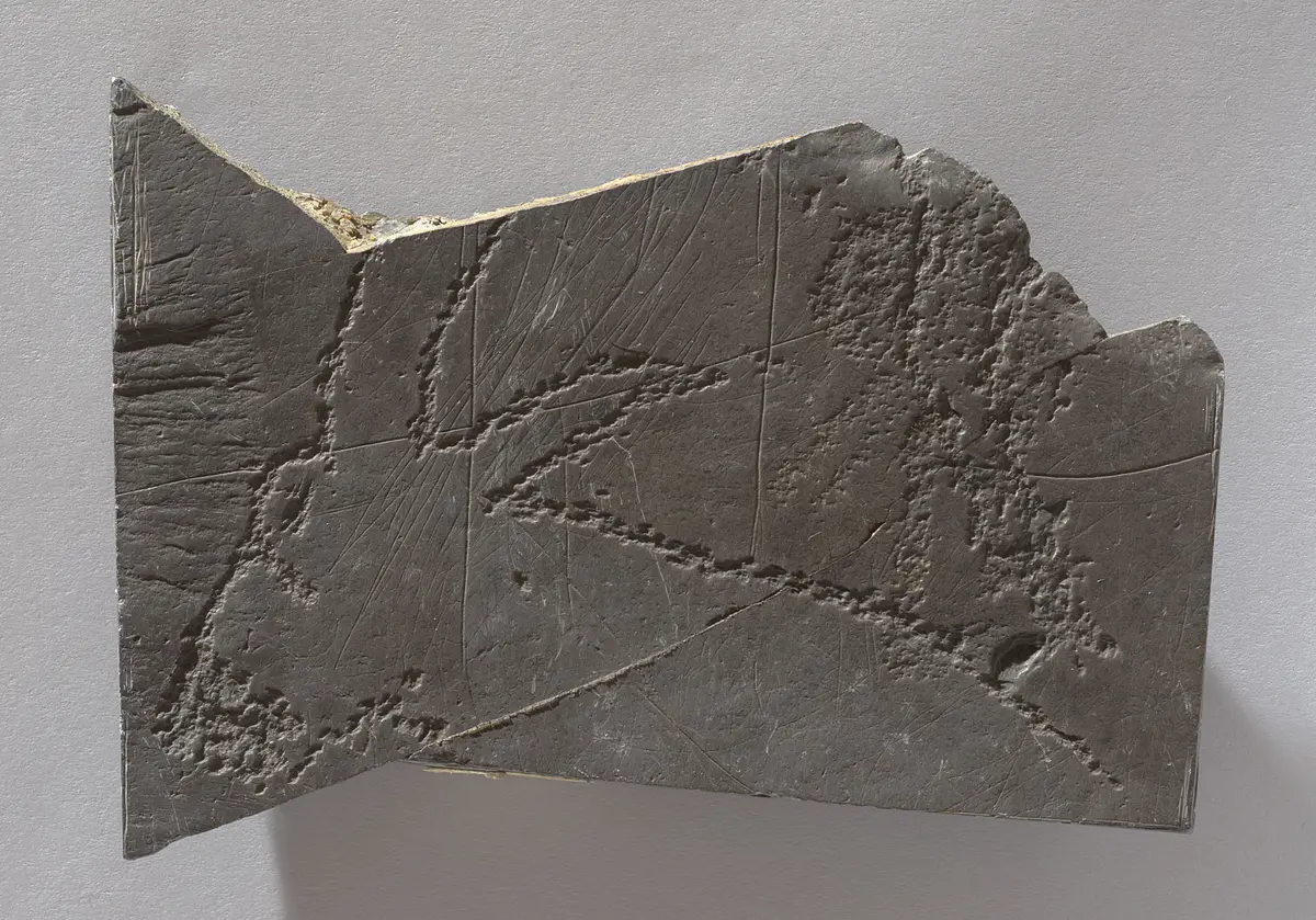 Felsgravierung: Rappenantilope, Fragment