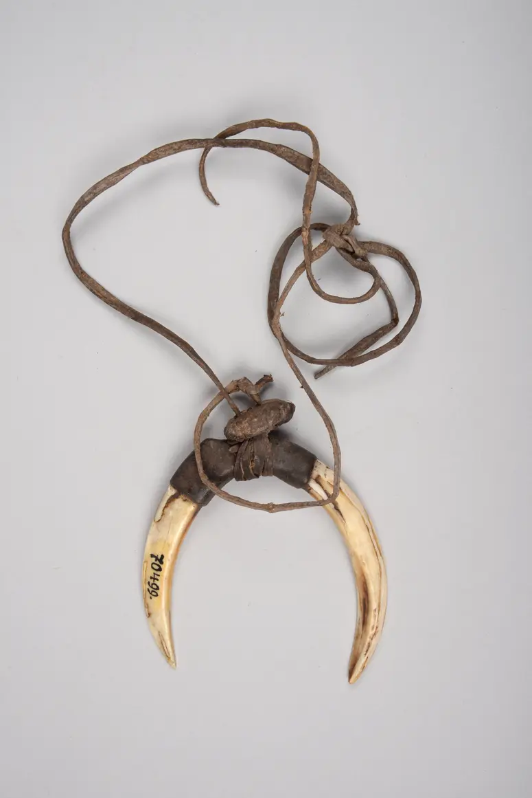 Stirnschmuck