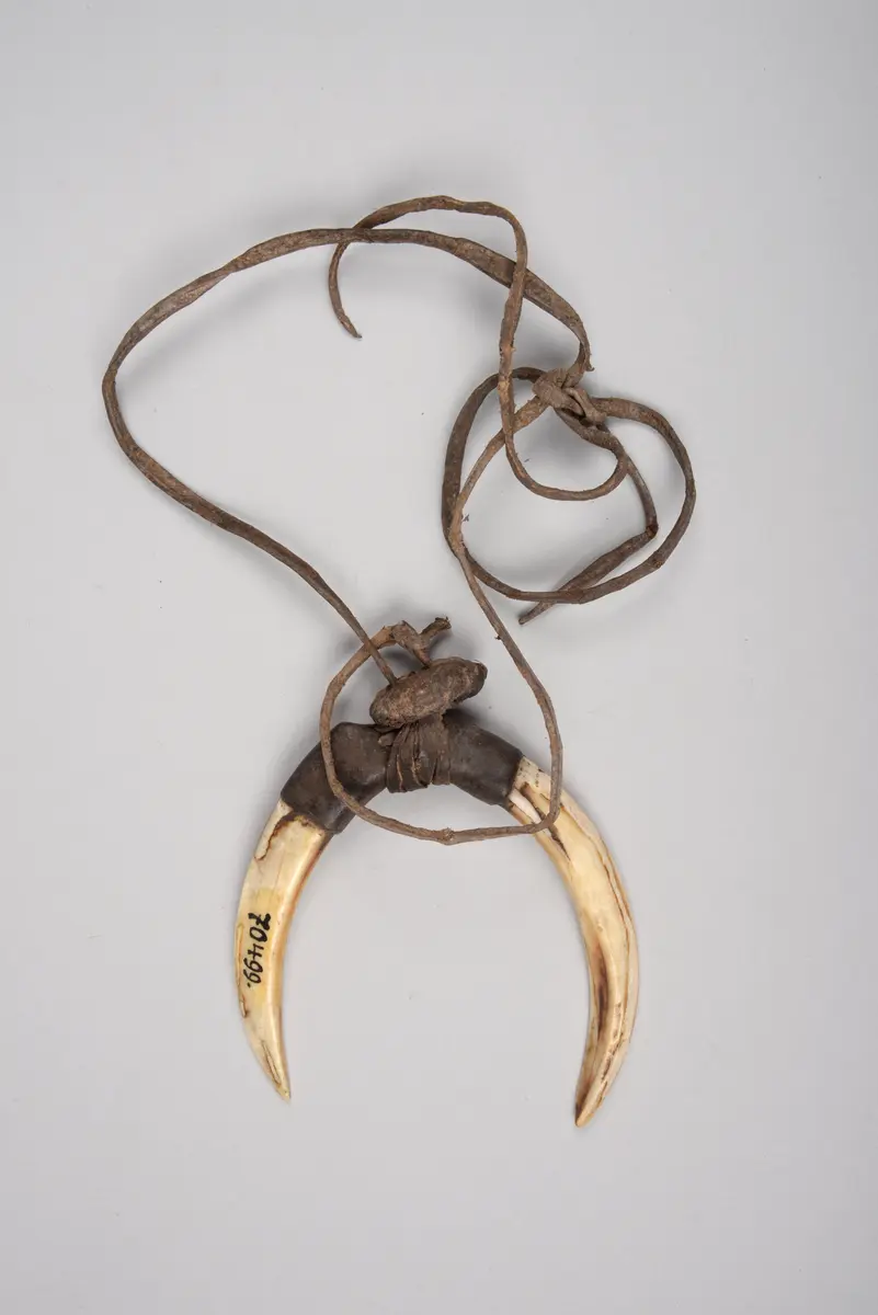 Stirnschmuck