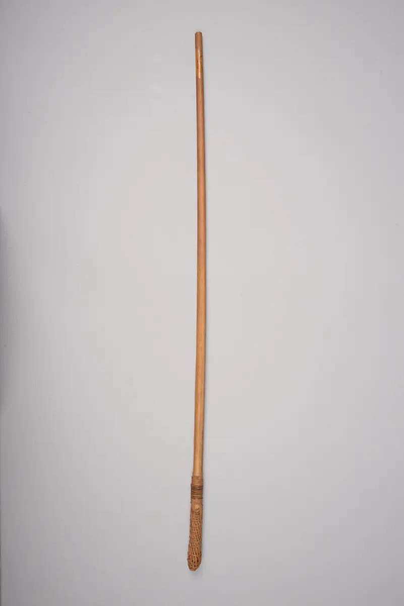 Saugrohr