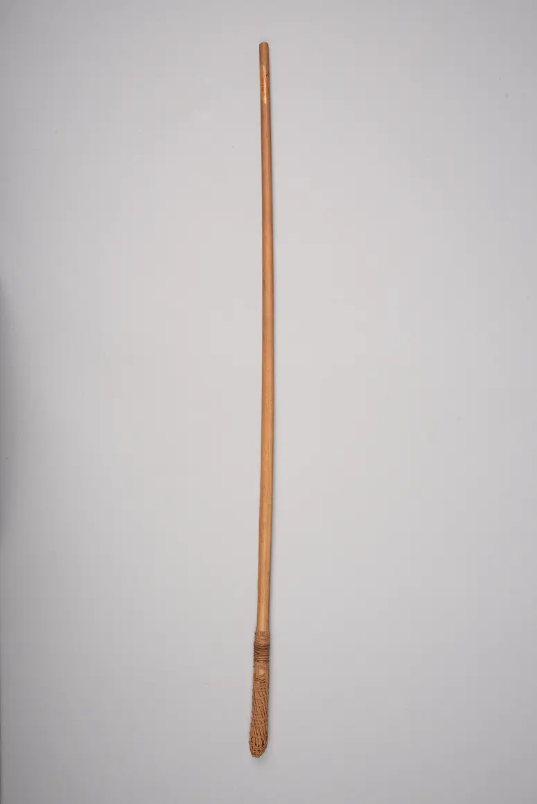 Saugrohr