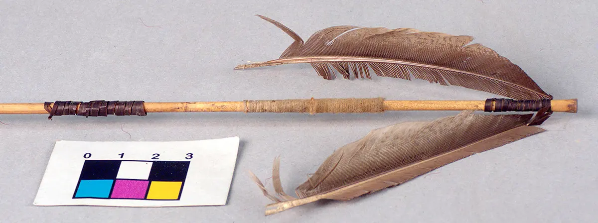 Hunting arrow