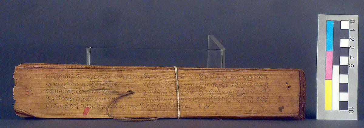 Text