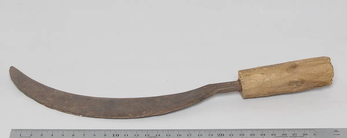 Sichel